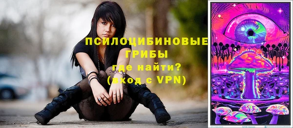 сатива Волоколамск