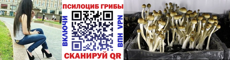 Галлюциногенные грибы мицелий Чердынь